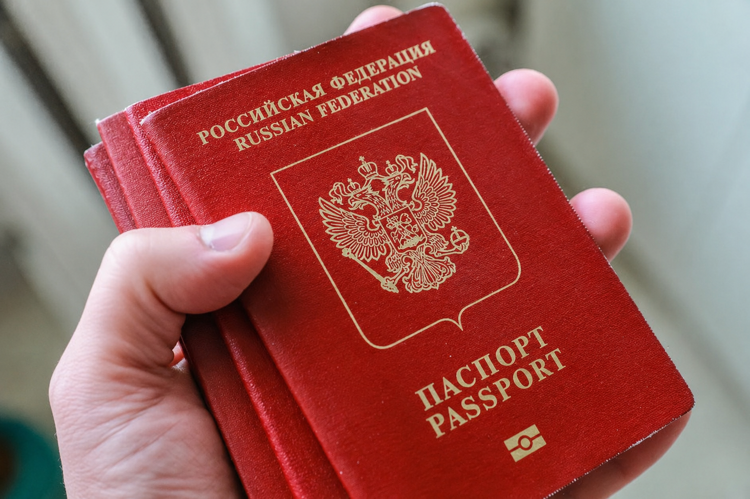Документы, которые помогают восстановить